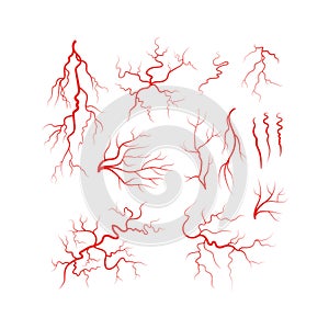 Human veins red blood vessel set vector