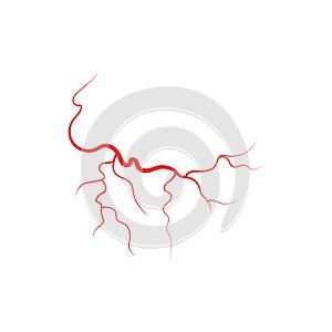 Human veins red blood vessel vector illustration