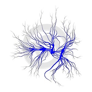 Human veins, red blood vessels design. Vector illustration isolated on white background