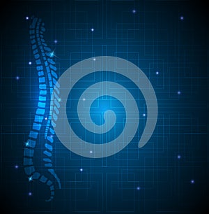 Human vertebral column abstract blue background photo