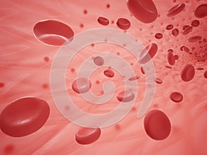 Human vessel with erythrocyte photo