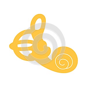 Human vestibular apparatus. The cochlea of the vestibular apparatus. Vector illustration, flat design