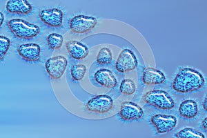 Human Virus, flu, view of a virus under a microscope, Viral disease outbreak. Infectious disease. 3d rendering