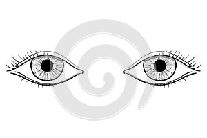 Human womans eyes. Hand drawn sketch. Vector illustration isolated on white background.