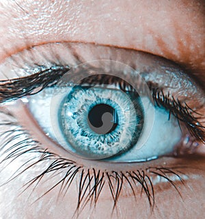 Humana eye photo