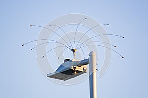 Humane bird deterrent device installed on top of a street lamp; San Francisco Bay Area, California