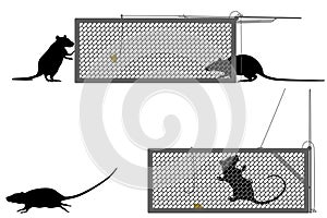 Humane rat trap