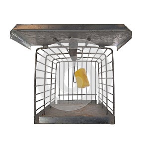 Humane type mousetrap, front view looking inside, isolated on white background, set with cheese to trap rodent. Or