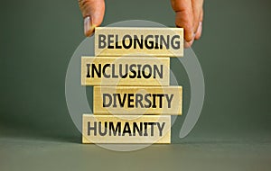 Humanity, diversity, inclusion, belonging symbol. Wooden blocks with words humanity, diversity, inclusion, belonging on beautiful