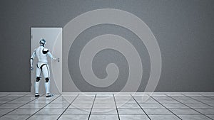 Humanoid Robot Door