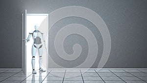 Humanoid Robot Door