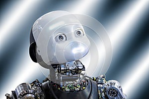 Humanoid robot, torso and head