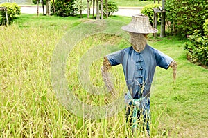 Humanoid scarecrows are usually dressed in old clothes and place