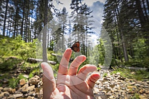 When humans and animals understand each other. Butterfly on hand in jungle the beauty of nature