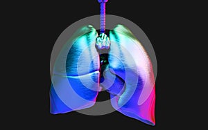 The Humanâ€™s Lung Iron and Respiratory System