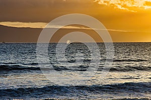 Humback whale slapping its tail on maui at sunset.