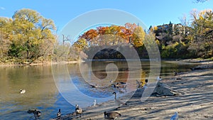 Humber river landscape view in Etobicoke