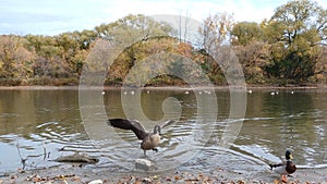 Humber river landscape view in Etobicoke