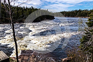 The Humber River wanders through the park. Sir Richard Squires Provincial Park Newfoundland Canada