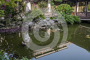 The Humble Administrator`s Garden in Suzhou - a poem of flowers,