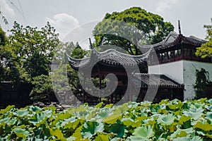 Humble Administrator`s Garden Zhuozhengyuan Suzhou, China