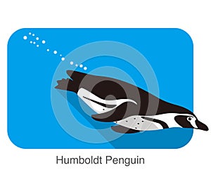Humboldt Penguin, Penguin seed series vector illustration