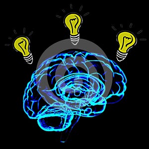 Humen brain illustration