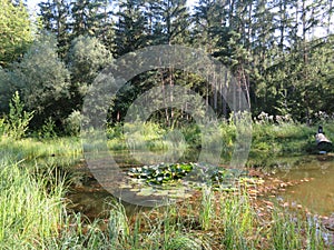 Humid Biotope in Upper Bavaria