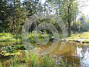 Humid Biotope in Upper Bavaria