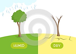 Humid and dry antonyms word card vector template. Opposites concept.