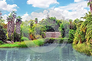 Humid tropical jungle.