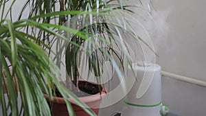 Humidification, comfortable living conditions. Diffuser, climate control equipment for apartments.