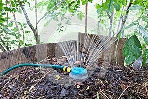 Humidification compost pile using sprinkler