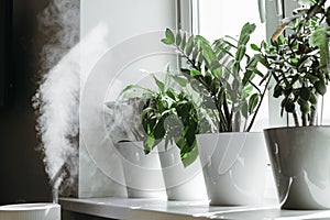 Humidification for cultivation of flowers