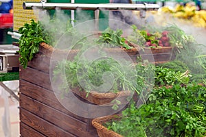 Humidification of greens and vegetables in grocery store