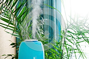 The humidifier in the blue case is in the room to increase humidity and health of plants and people . close-up of the
