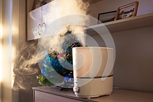 Humidifier spreading steam in morning light near artificial christmas pine tree