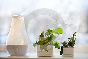 Humidifier at the window