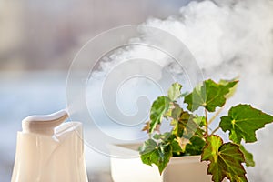 Humidifier at the window