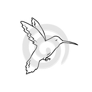 Humming bird black outline vector illustration