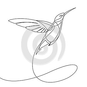 Humming Bird Continuous Line Vector