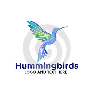 Humming Bird Exclusive logo Design