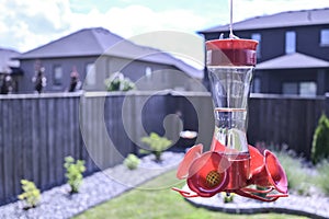 Humming bird feeder with blur background