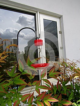 Humming bird feeder near glass window.