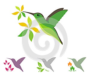 Humming bird and flower icons photo