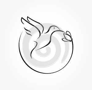 Humming bird icon