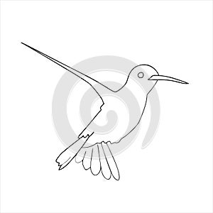 Humming bird icon isolated on white background from animals collection.