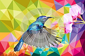 Humming bird vector lowpoly