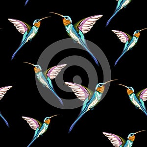 Humming birds. Seamless pattern of exotic tropical humming bird. Hand drawn illustration.