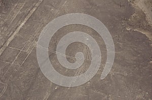 Hummingbird - Aerial view of the Nazca Lines